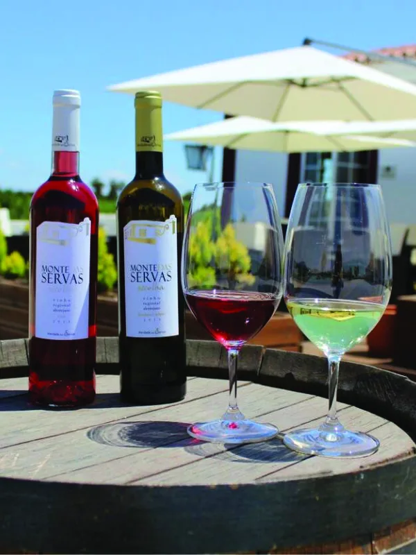 Alentejo red wine