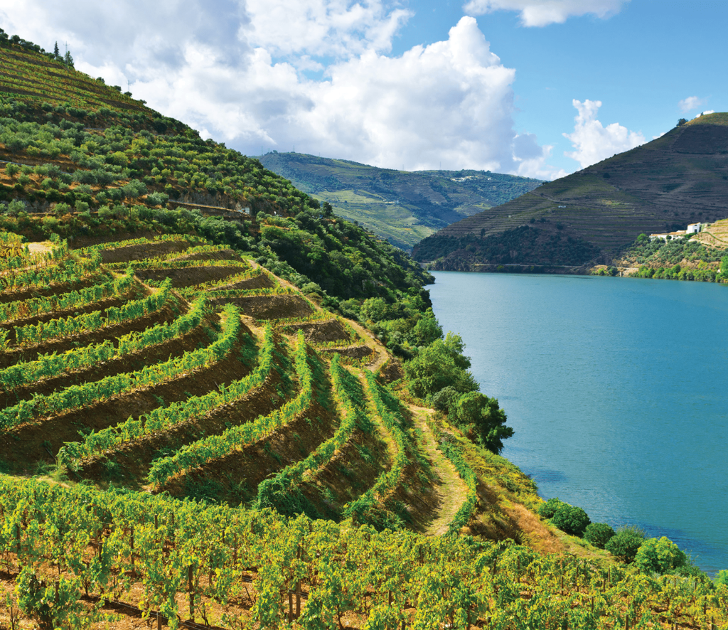 douro porto