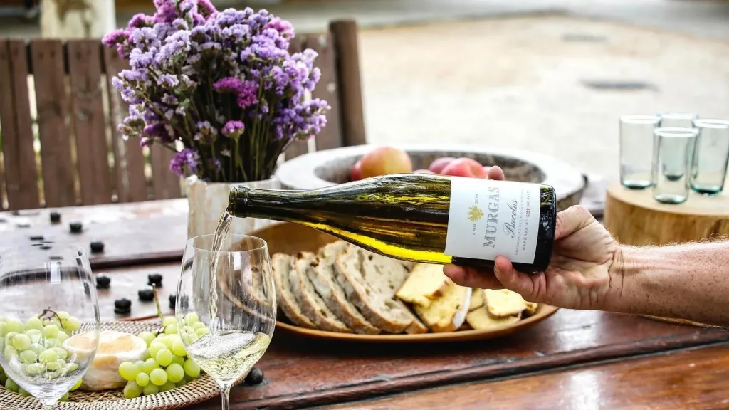 wine tasting tour portugal