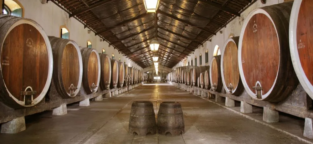 Colares DOC Weingut – Ramisco-Reben auf Küstensanddünen, Naturpark Sintra-Cascais