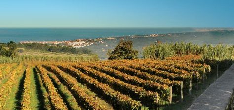 sintra cascais wine private tour