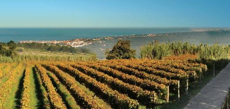 sintra cascais wine private tour