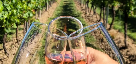 wine tasting tour portugal
