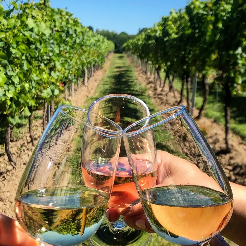 wine tasting tour portugal