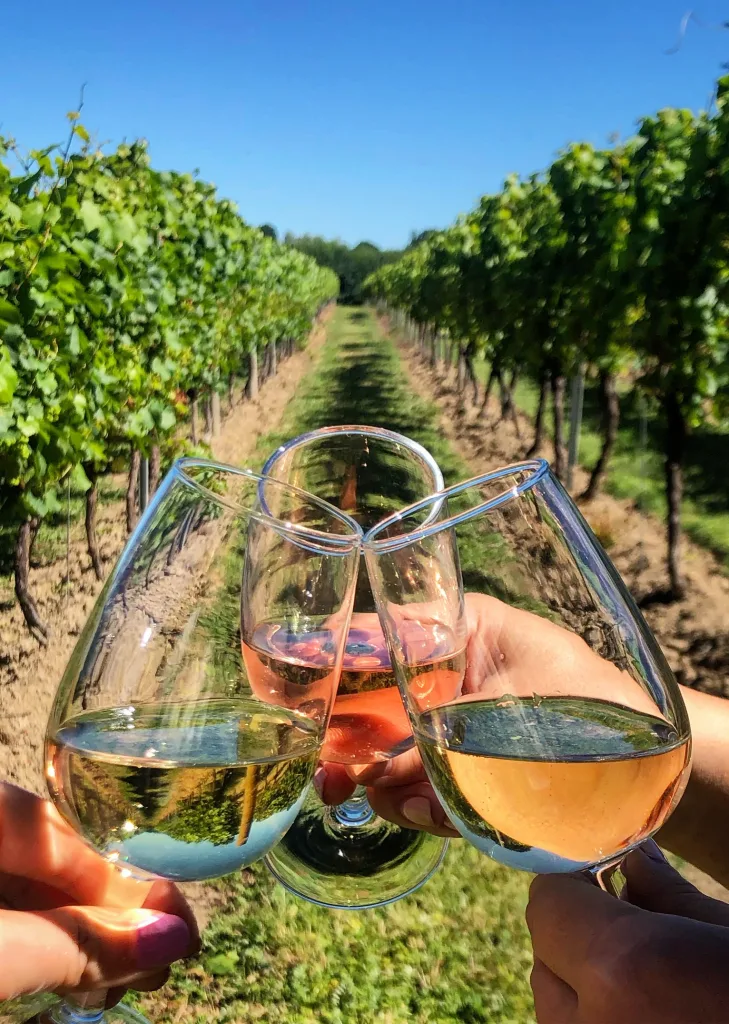 wine tasting tour portugal