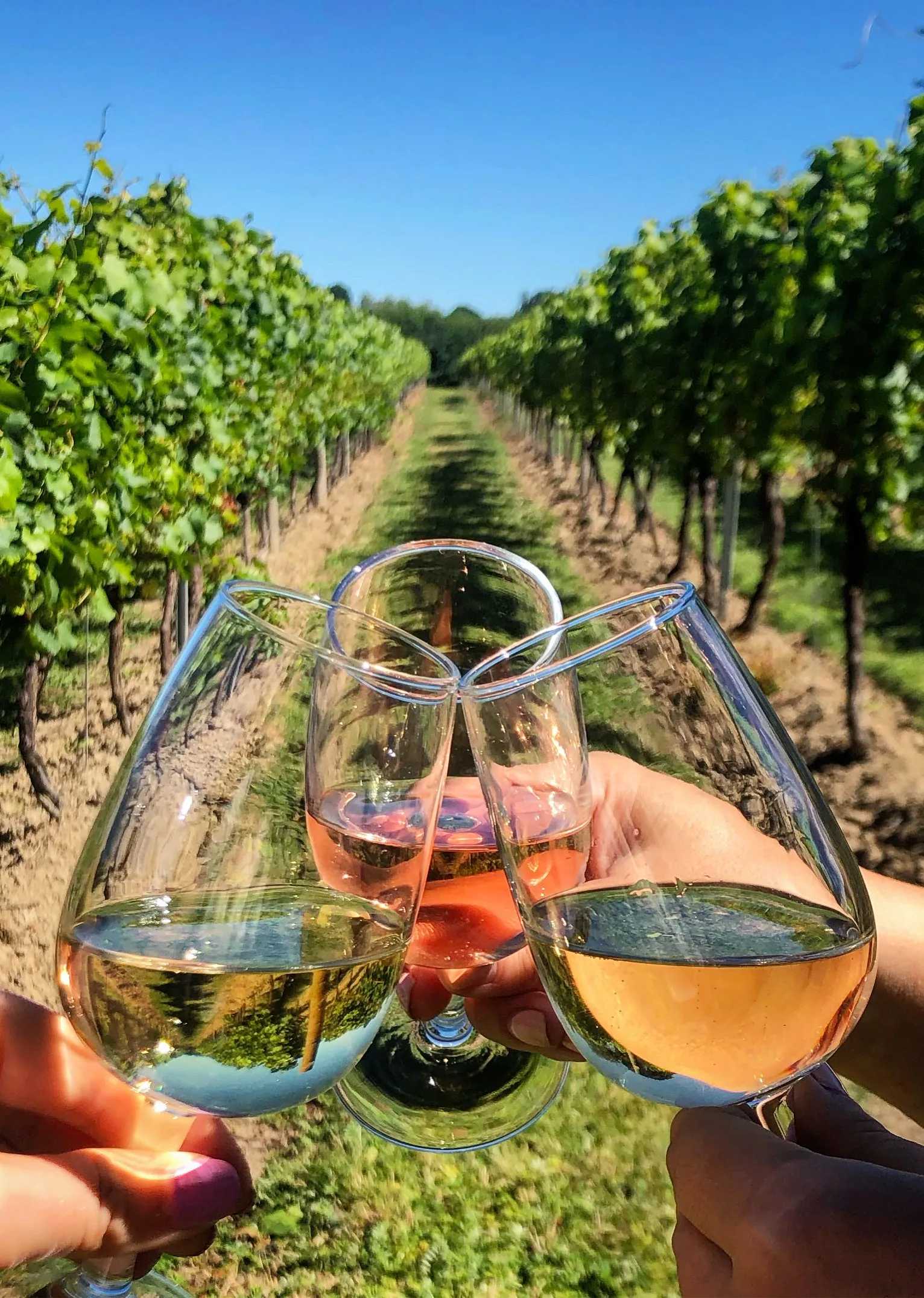 wine tasting tour portugal